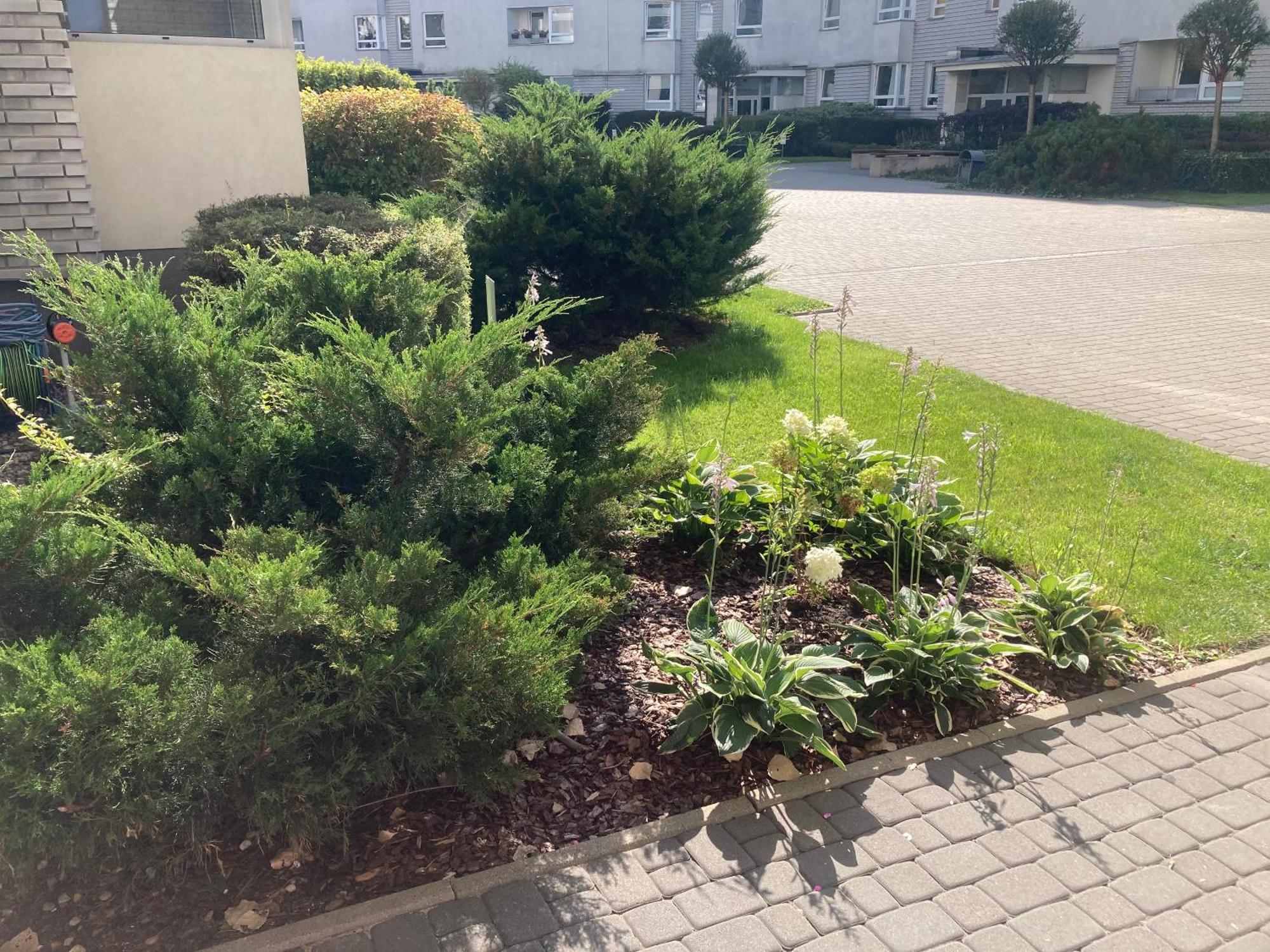 Przestronny Apartament Na Dolnej Βαρσοβία Εξωτερικό φωτογραφία